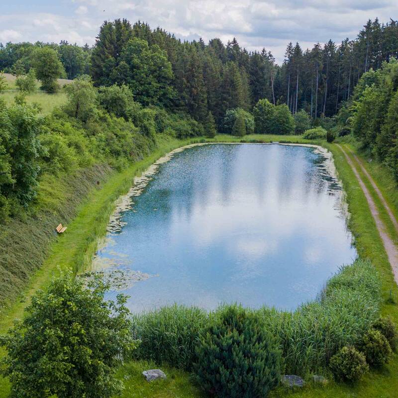 Das Bild zeigt eine Luftaufnahme im Sommer vom Grabenwaldsee im Ortsteil Bösingen.